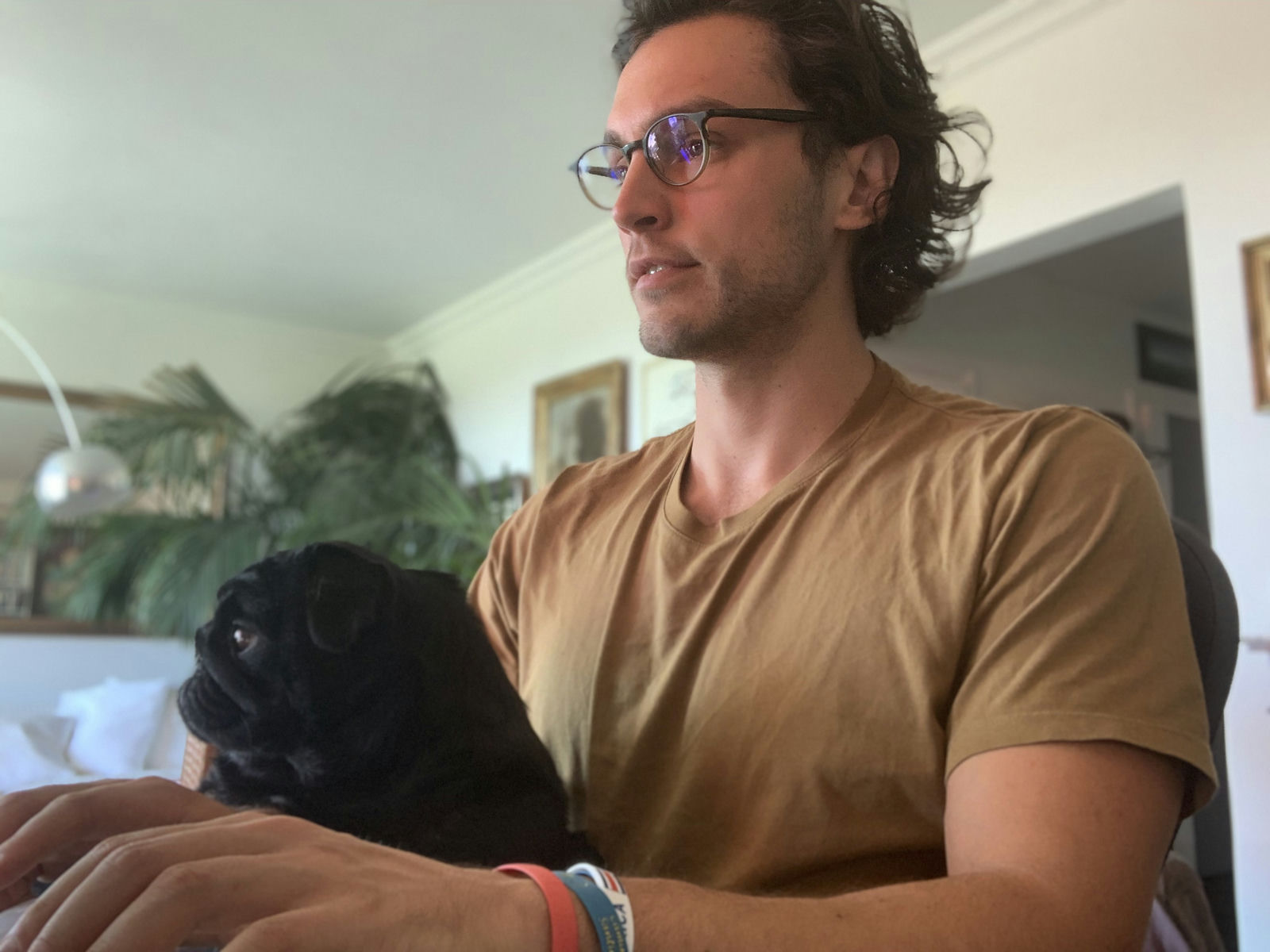 Coding with a Pug